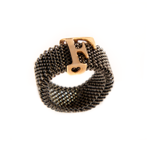 Anello fascia iniziale F